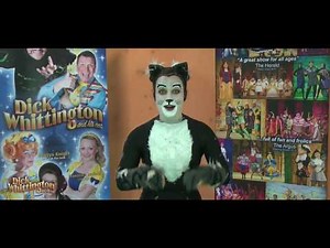 Meet our Cat from Dick Whittington and His Cat Eastbourne