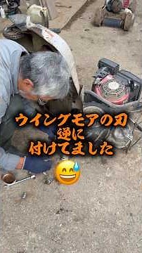 ウイングモアの刃逆に付けてました#shorts #農業 #佐渡 #農家 #米作り #仕事 #作業 #6月 #田舎 #田んぼ #草刈り #草刈り機 #交換 #点検 #整備 #お米 #米 #コメ #感謝