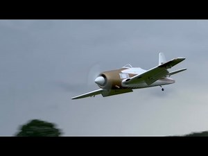 CY Model F8F-Bearcat „Rare Bear“ Moki 180