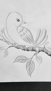 1.2M views · 10K reactions | How to draw a beautiful bird by pencil sketch #draw #pencildrawing #howtodraw #drawing #birddrawing | SSR Art's | Facebook