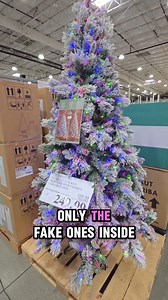 Buying a Christmas Tree at Costco! 🎅 🎄 🎁 ✨ | Yellow Productions Travel Guides