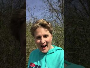 Signs of the Times - Video Devotion - 03-26-20