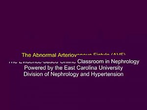 The Abnormal Arteriovenous Fistula