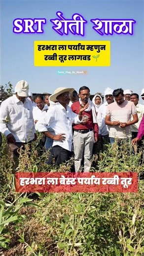 हरभरा ला बेस्ट पर्याय म्हणुन रब्बी तूर लागवड | SRT शेती शाळा | #viral #farming #srtsheti #viralfeed