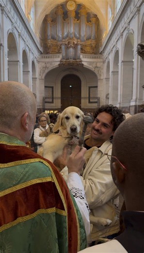 ⛪️🐾Ce dimanche, les chiens étaient à l’honneur à l’église Saint-Roch, à Paris 1er, pour la traditionnelle bénédiction des animaux. Un joli moment pour tous les amoureux des chiens.✨ #messe #chien #emotion #dogfriendly #benediction Messe pour chiens, bénédiction animale, événement canin à Paris, chiens parisiens.