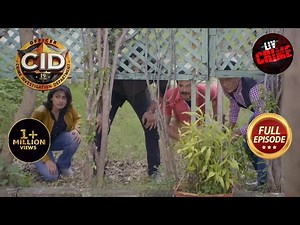 Forest में Team CID छुप-छुपके कर रही है "Mystery Man" का पीछा! | CID | High Action | 02 August 2023