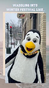 3.2K views · 57 reactions | See you soon Cedarburg! #cedarburgwisconsin #cedarburgwinterfestival #WinterFun | Festivals of Cedarburg | Facebook