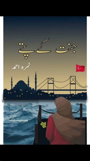 #graphicdesign #novel #nimraahmednovel #fyp #design #illustrator #jannatkpatty