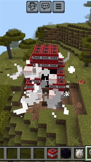 can wolf survive tnt explode 💥 #minecraft