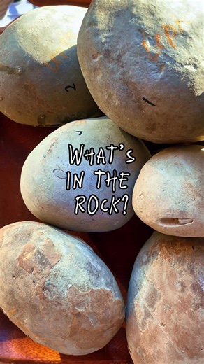 What would you rather 👀 ? ⛏️ Fossil eggs or chocolate eggs this Easter? These rock concretions are all guaranteed fossils. Available to purchase and coming to our website soon 👀 🪺 Happy Easter #fossils #rockhounds #fyp #nature