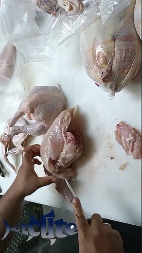 (S3E3) Perfect Chicken Cutting | Breast & Thigh Filleting Skills
