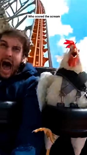 24K views · 518 reactions | Screaming Chicken challenge who's screaming louder  #chicken #FunnyChildhood #screaming #rollercoaster #amusementpark | Wildly Funny | Facebook