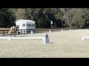 Leisel First Level Test 1 at WEC 2/13/26