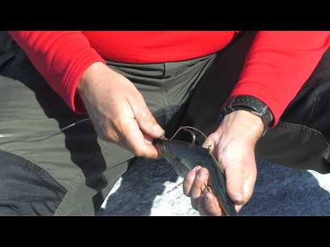 Meeresangeln in Nord-Norwegen - Montagen