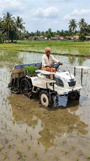Fast & Efficient Rice Planting with Modern Transplanter Machine