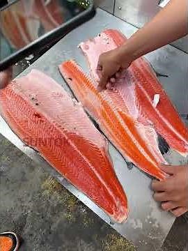 Fish filleting machine for Salmon