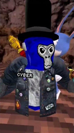 Dose this work #gorillatagquest #gorillatag #vr #gtag