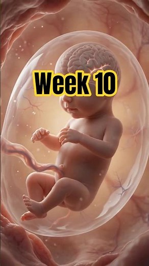 10 Weeks Pregnant|Baby grows fast in the womb|#pregnancy #10weeks #babydevelopment #babyshorts