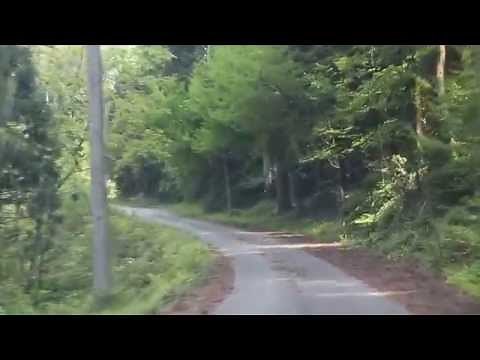 新緑が映える来日山を車でのんびりヒルクライム 【来日集落からほぼノーカット 車載 】