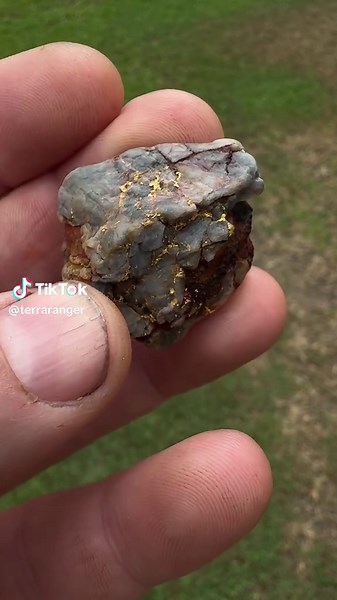 Discover Stunning Gold Specimen from Northern Territory