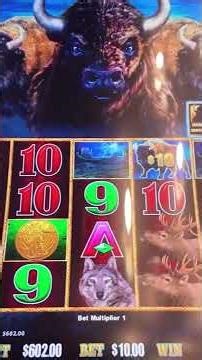 "Boosting Bets and Chasing Bonuses on Buffalo Slots – Let’s Win Big!" #slotscasinogames #jackpot