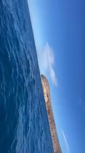 20K views · 7.7K reactions | Everyday there are Abalone divers...