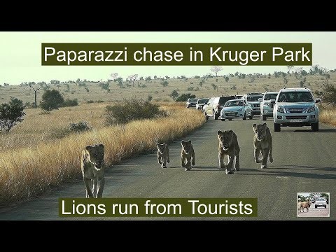 Back in Time: Botswana Safari - December