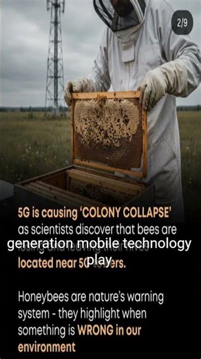 Analysis of the impact of 5G radiation on bees #5g radiation #mobile radiation #bees #phoneradiation