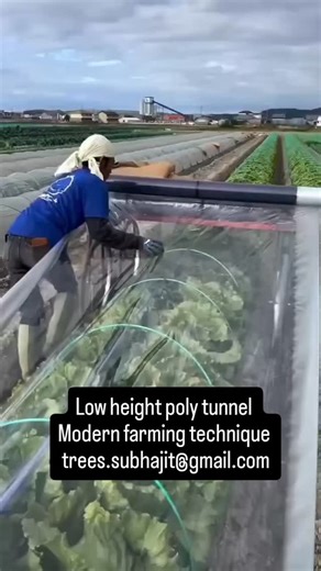 Low-cost Polytunnel. Low-cost Farming, Saved Water and High Profile. It can be installed quickly and needs very less skill development. Looking forward to organising workshops on this initiative across India. Subhajit Mukherjee #Farming | Mission Green Mumbai