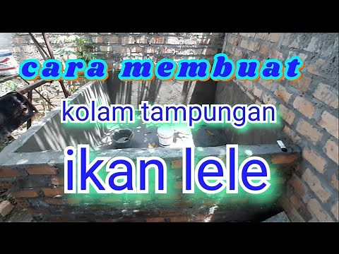 cara membuat kolam ikan lele dengan batu bata# full version