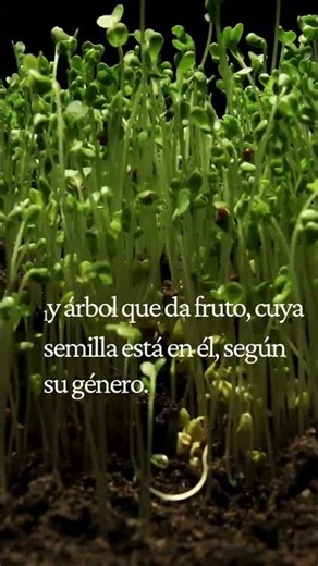 Genesis capitulo 1 Ver 11,12,13 #biblia #genesis #palabradedios #amor