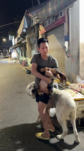 Meet Doris: The Largest Dog in the World