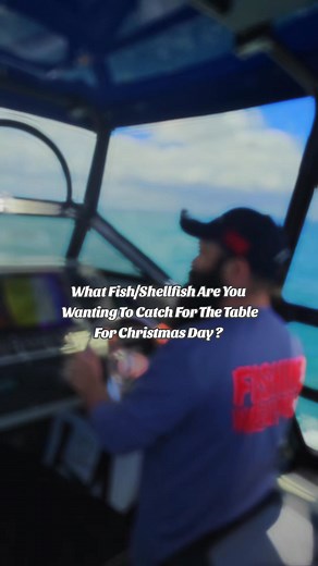 What do you want to catch for Christmas day #fish #Christmas #Christmasday #family #food #seafood | Alexander Surdich