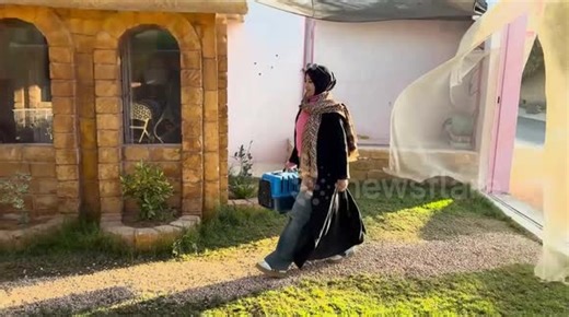 Libya’s 5-star cat hotel provides luxury care for cats