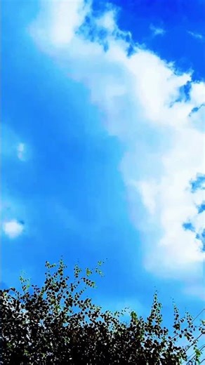 120 fps tutorial? #4k #120fps