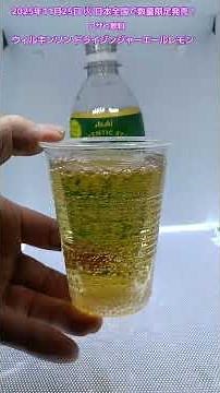 [Asahi Beverages] I tried Wilkinson Dry Ginger Ale Lemon! This sweetened carbonated drink feature...