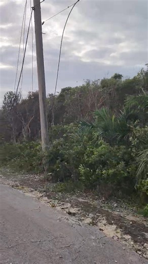 Day 2 post Hurrucane Melissa .. Pole down back of crossroad in Salt Pond Long Island. Bahamas Power and Light i know the team busy doing main lines but yall don't forget us please. No electricity and MyAliv down too. Rough situation but expected after a hurricane. Vincent H Lockhart Kendrick Knowles | Chuck Fox