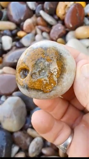 4.7K views · 106 reactions | This chalcedony, possibly a geode has a...