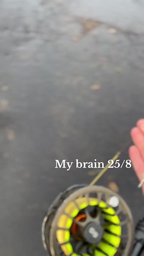 It never stops. Damnit I love it #flyfishing #fishing #trout #troutfishing #browntrout #rainbowtrout #euronymphing #nymphing #streamers #streamer #streamerfishing #streamerfly #salmotrutta #salmonoid #fyp #foryoupage #salmo #dryft #nightfishing #nightbrowns