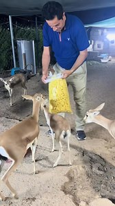 Muhammad Nuri on Reels