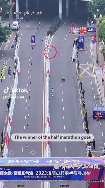 Una carrera para recordar: ¡un gato gana el medio maratón!