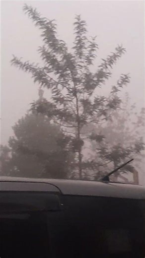 early morning somewhere in uganda