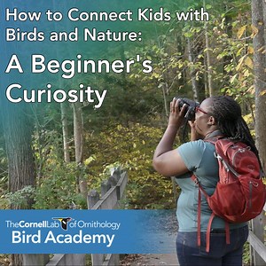 956 reactions · 162 shares | For nature walks with kids, one of the...