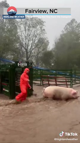 Hurricane Helene Impact on Hickory Nut Gap Farm