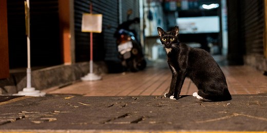 Intuition And Instinct: What's The Difference, And Which Should You Listen To?