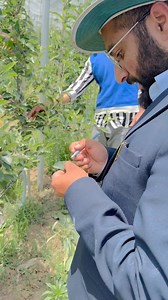 Why IPM is important for effective pest control. | The Garden Guardians