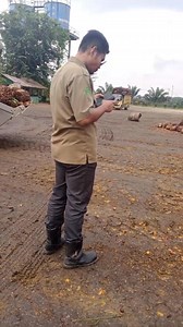 Sortase ketat | Syabbiya