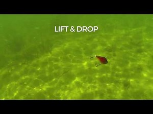 Swimming Action: Rippin Rap