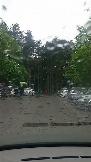 Rainy Day, Dream Away by Jimi Hendrix #jimihendrix