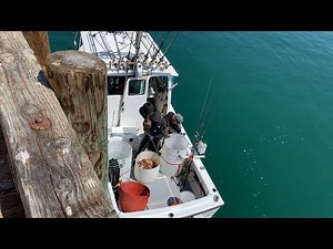 Commercial Live Rock Cod Fishing aboard F/V Grizzly Bear